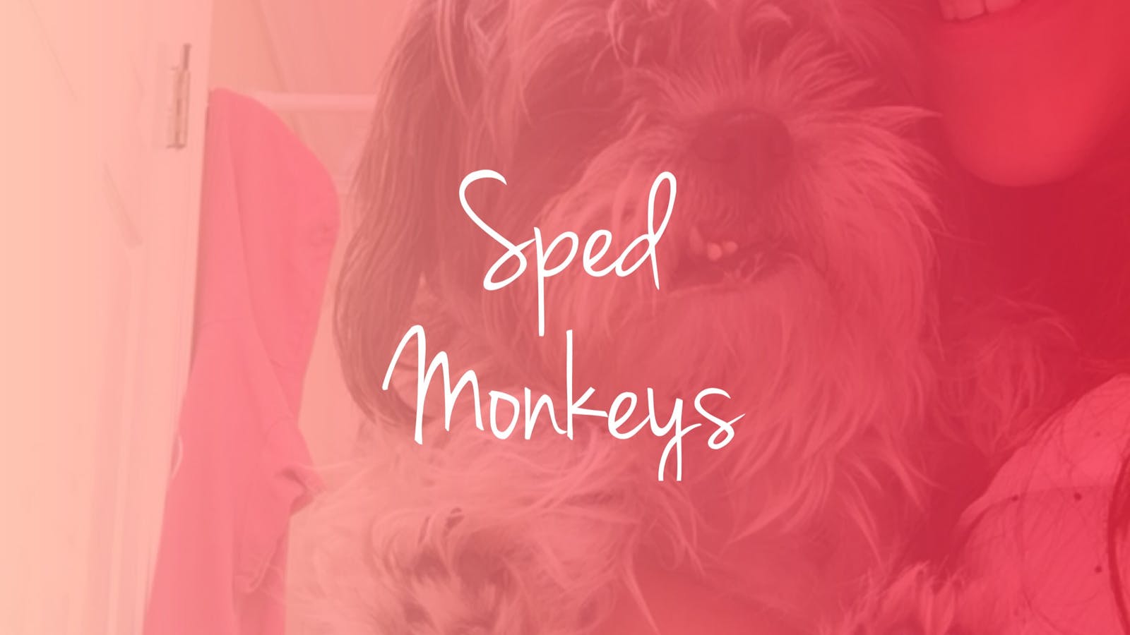 Sped Monkeys | Hobnob